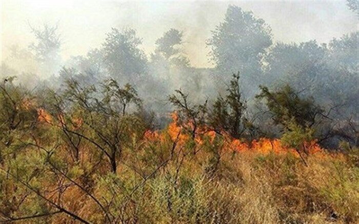 مراتع نارک گچساران طعمه حریق شد