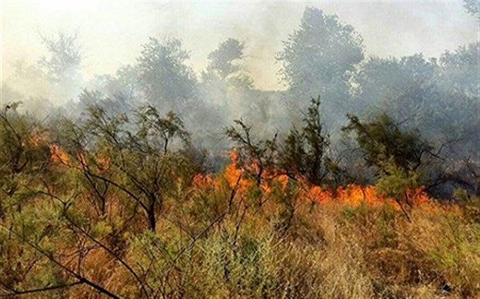 مراتع نارک گچساران طعمه حریق شد