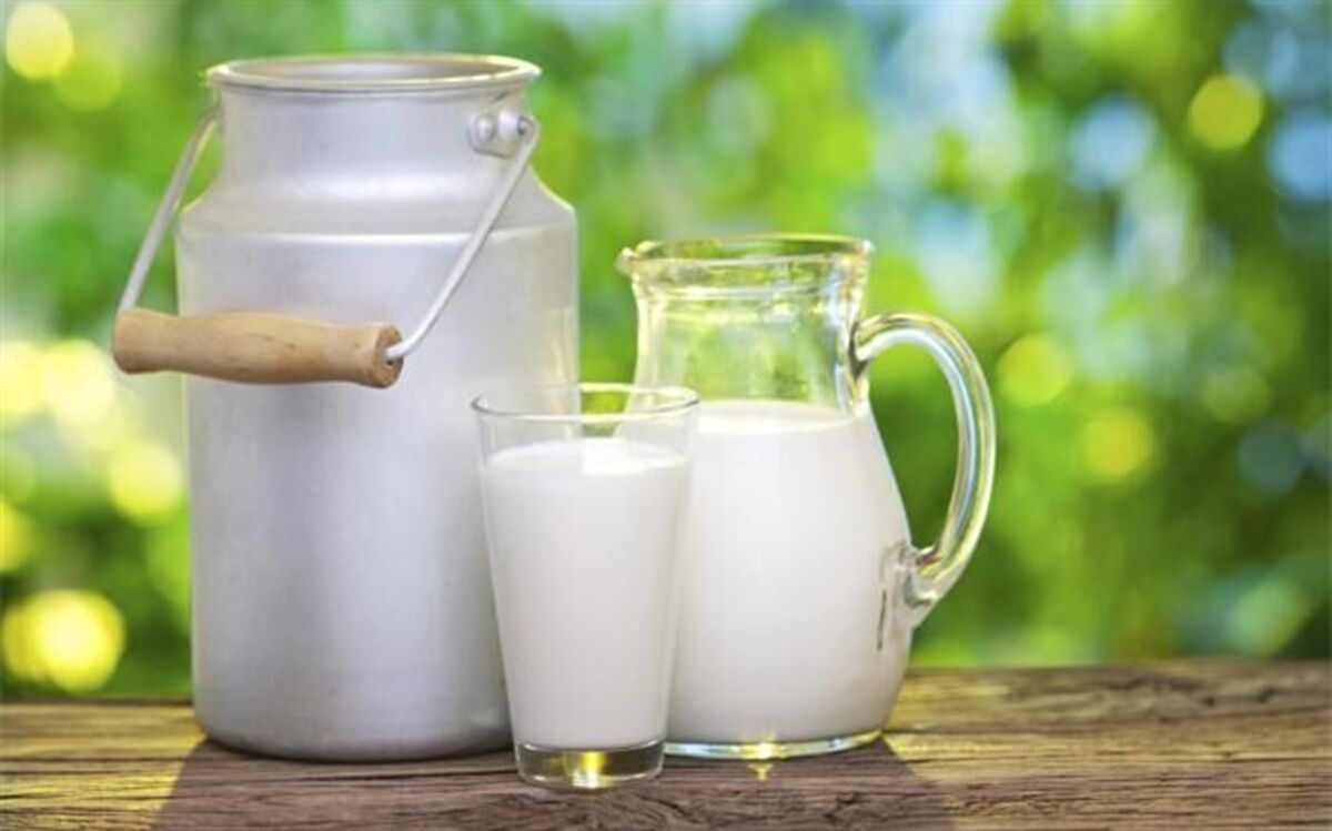 تصویب قیمت ۶۴۰۰ تومان برای شیر خام