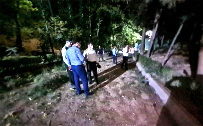 جزئیات و صفر تا صد حادثه بامداد امروز در پارک ملت تهران/ فیلم