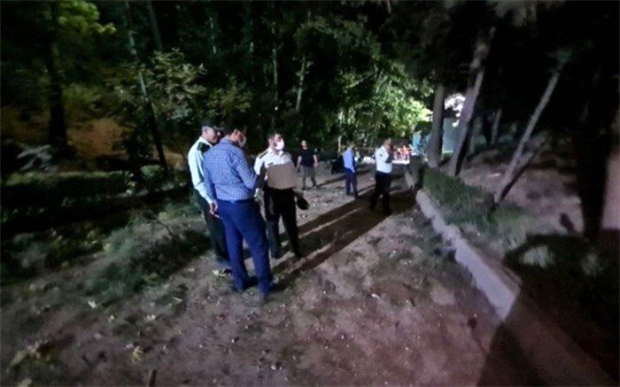 جزئیات و صفر تا صد حادثه بامداد امروز در پارک ملت تهران/ فیلم