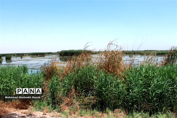 هور العظیم ؛انهدام زیبایی، ازدحام تنهایی