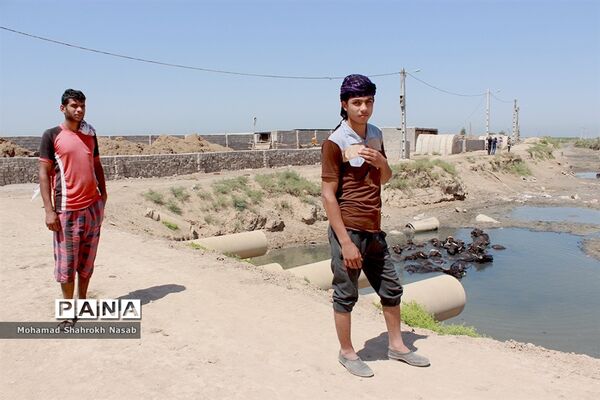 هور العظیم ؛انهدام زیبایی، ازدحام تنهایی
