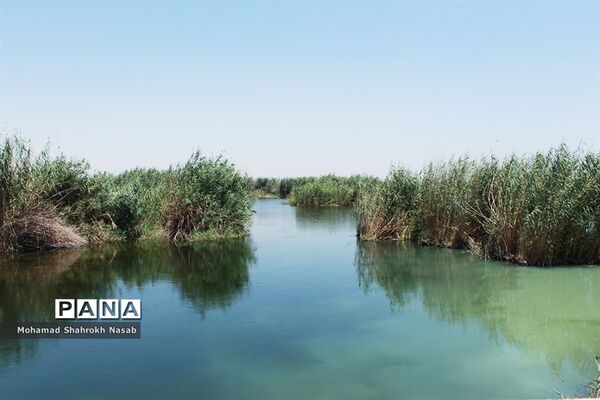 هور العظیم ؛انهدام زیبایی، ازدحام تنهایی
