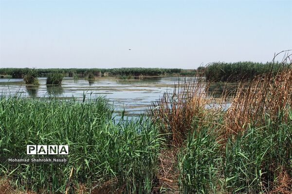 هور العظیم ؛انهدام زیبایی، ازدحام تنهایی