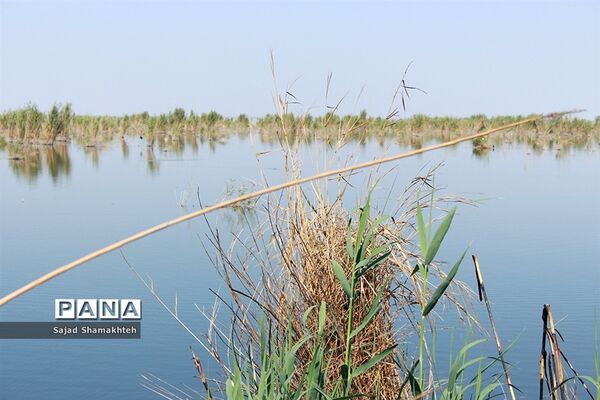 هور العظیم ؛انهدام زیبایی، ازدحام تنهایی