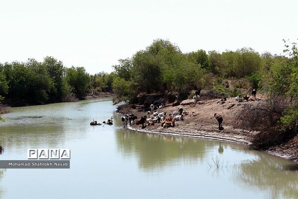 هور العظیم ؛انهدام زیبایی، ازدحام تنهایی