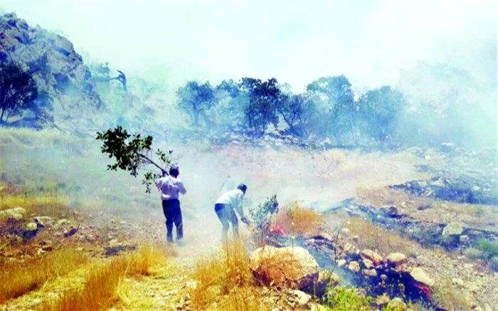 نابودی جنگل‌ها در آتش کمبود امکانات
