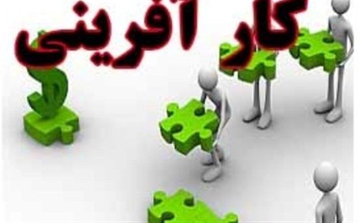 کارآفرینان پیشرو چگونه حمایت می‌شوند؟