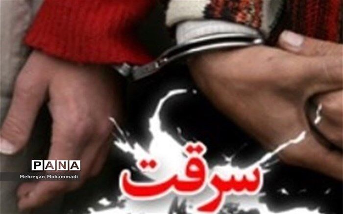 دزدی و زورگیری با عنوان مامور قلابی