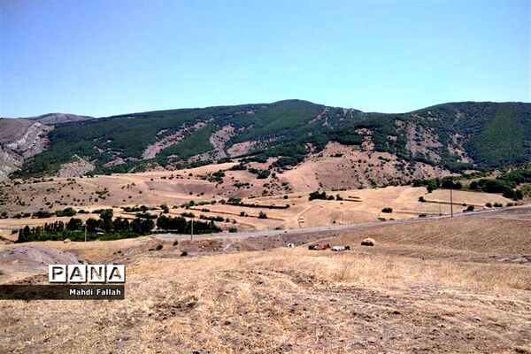 برداشت محصولات کشاورزی در روستای تنباکلوق  از توابع شهرستان هوراند