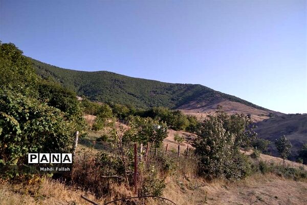 برداشت محصولات کشاورزی در روستای تنباکلوق  از توابع شهرستان هوراند
