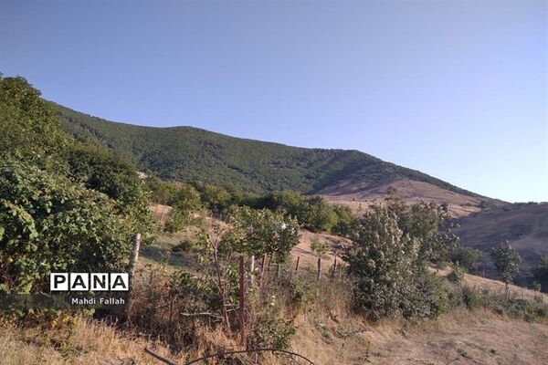 برداشت محصولات کشاورزی در روستای تنباکلوق  از توابع شهرستان هوراند