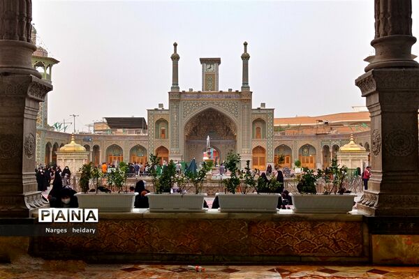 دیدار معنوی و زیبا پانا امیدیه از بارگاه ملکوتی حرم حضرت معصومه (س)
