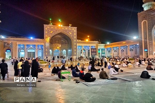 دیدار معنوی و زیبا پانا امیدیه از بارگاه ملکوتی حرم حضرت معصومه (س)