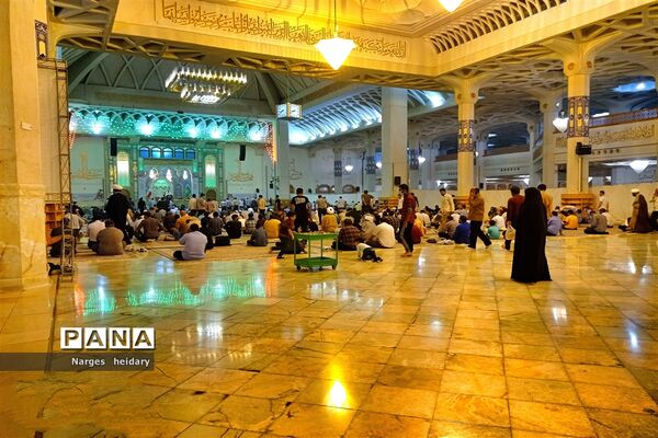 دیدار معنوی و زیبا پانا امیدیه از بارگاه ملکوتی حرم حضرت معصومه (س)