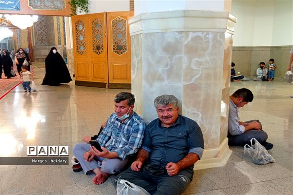 دیدار معنوی و زیبا پانا امیدیه از بارگاه ملکوتی حرم حضرت معصومه (س)