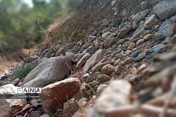 طبیعت زیبای دهستان قاضی کندی اوریاد