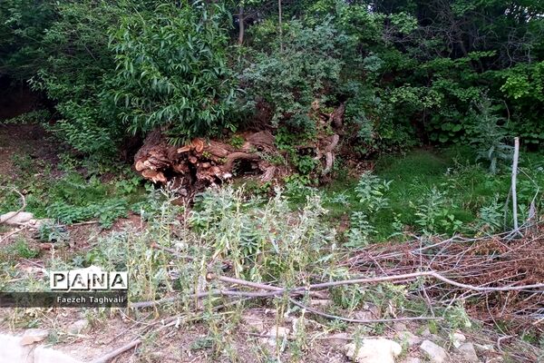 طبیعت زیبای دهستان قاضی کندی اوریاد