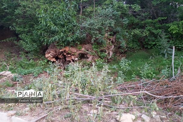 طبیعت زیبای دهستان قاضی کندی اوریاد