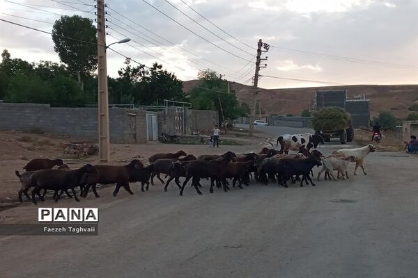 طبیعت زیبای دهستان قاضی کندی اوریاد