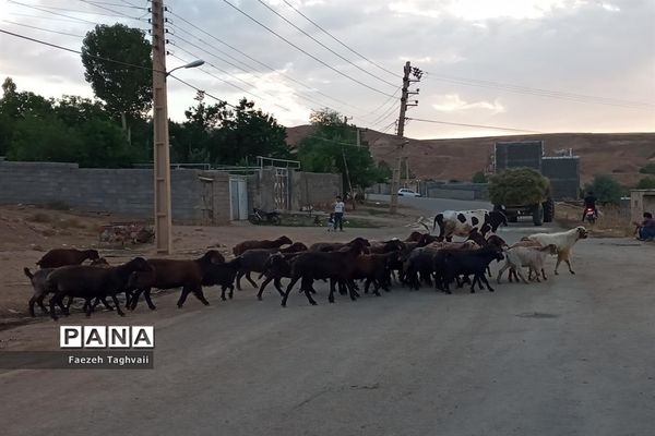 طبیعت زیبای دهستان قاضی کندی اوریاد