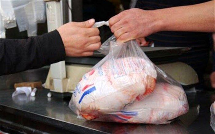 مرغ گران شد