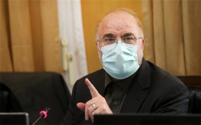 رییس مجلس در راس هیات پارلمانی وارد سوریه شد