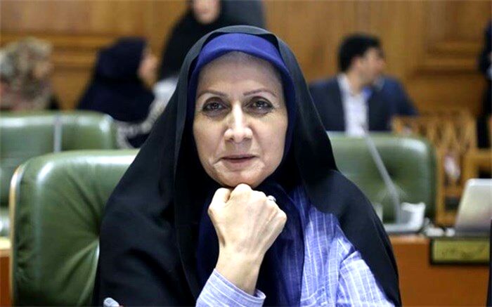 شهربانو امانی: جریان اصلاحات نیازمند تغییر تاکتیک است