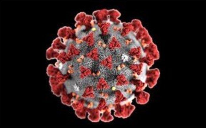 دلتا بین افراد واکسینه شده بیشتر است