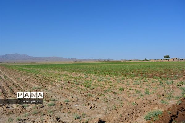 افتتاح پروژه آبیاری کم فشار در بخش ماژان شهرستان خوسف