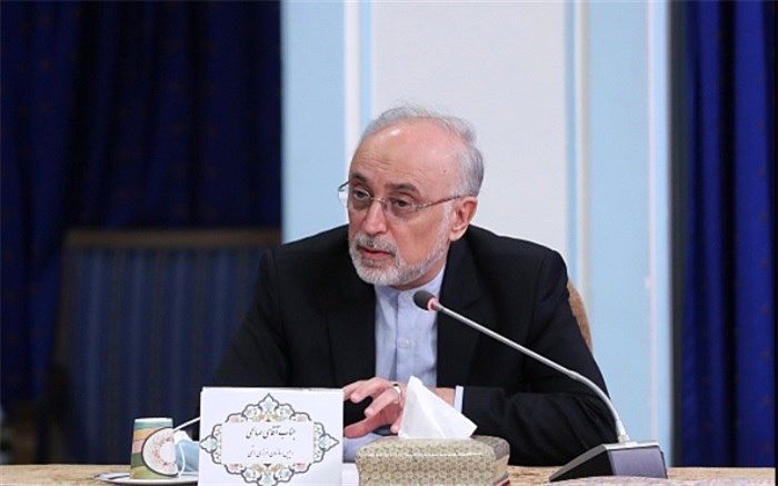 صالحی به کمیسیون اصل ۹۰ گزارش داد