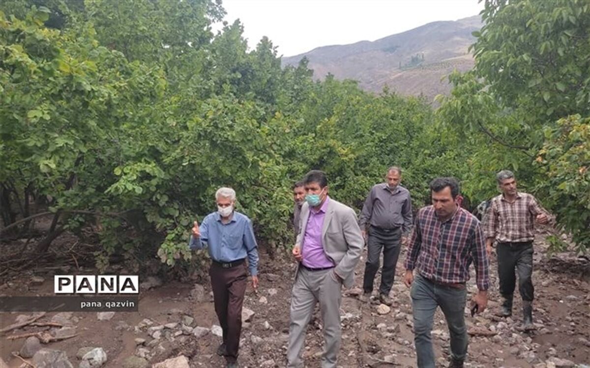 دستگاه‌های متولی به یاری سیل زدگان الموت بیایند