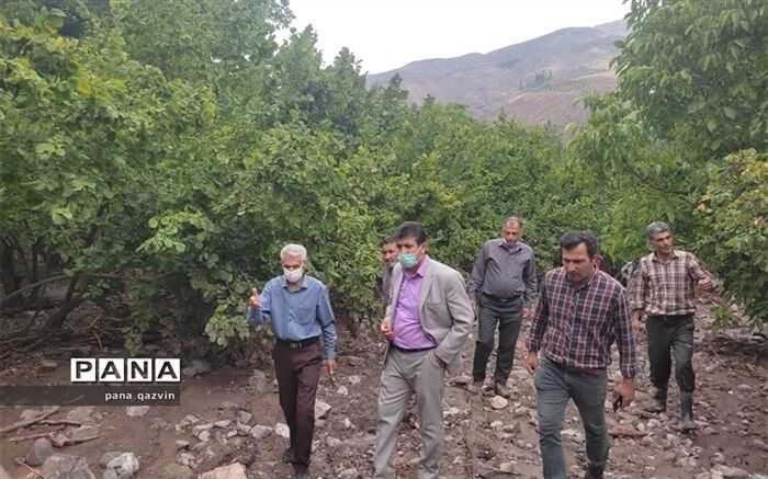 دستگاه‌های متولی به یاری سیل زدگان الموت بیایند