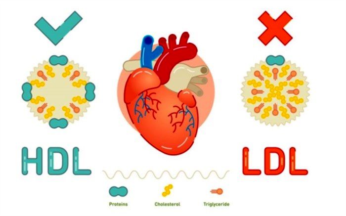 6 پیشنهاد برای افزایش کلسترول خوب