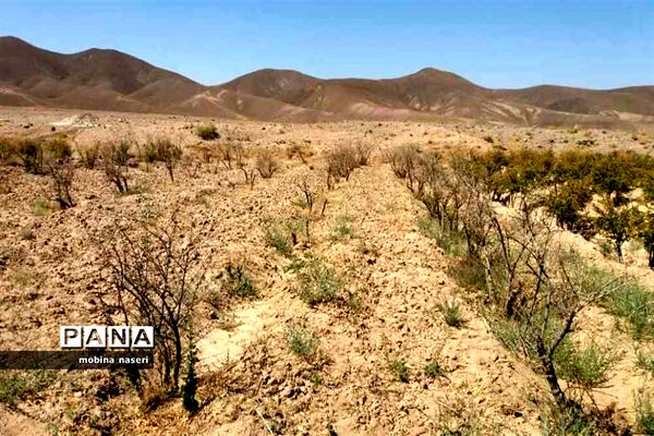 خشکی قنات روستای پایهان
