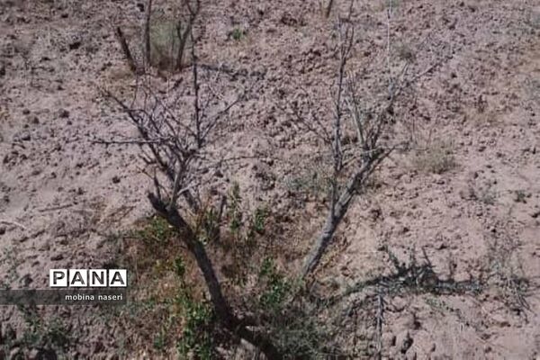 خشکی قنات روستای پایهان