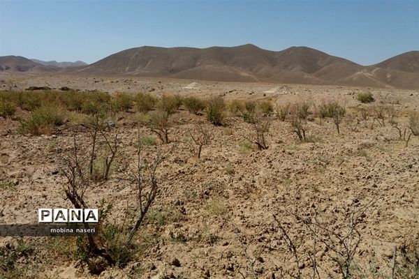 خشکی قنات روستای پایهان