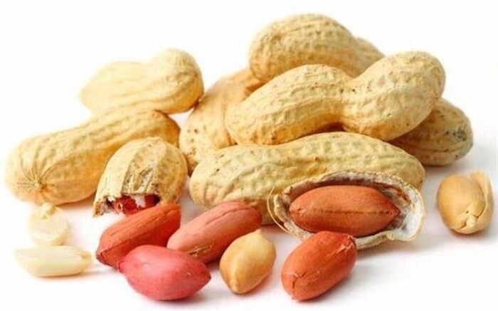 مصرف مداوم بادام زمینی سرطانزاست؟