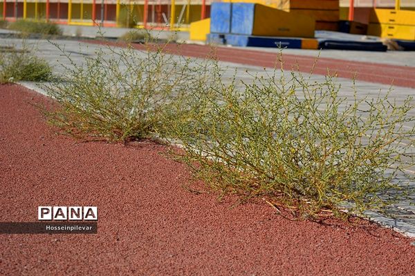 استادیومی بی جان و دل به نام غدیر در بیرجند