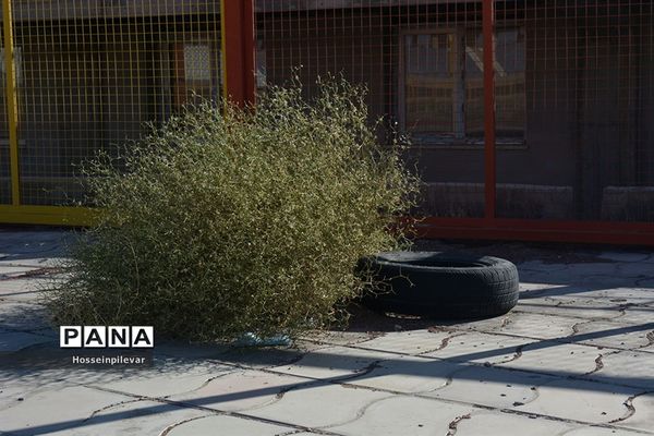 استادیومی بی جان و دل به نام غدیر در بیرجند