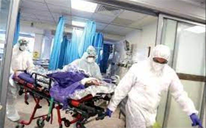 ویروسی برای تمام فصول