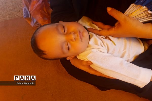 برگزاری مراسم شیرخوارگان حسینی در ملارد