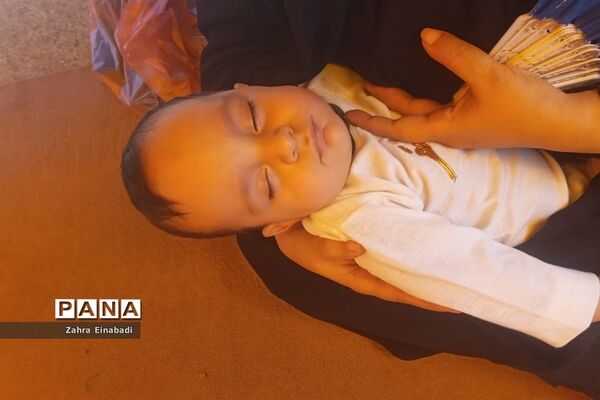 برگزاری مراسم شیرخوارگان حسینی در ملارد