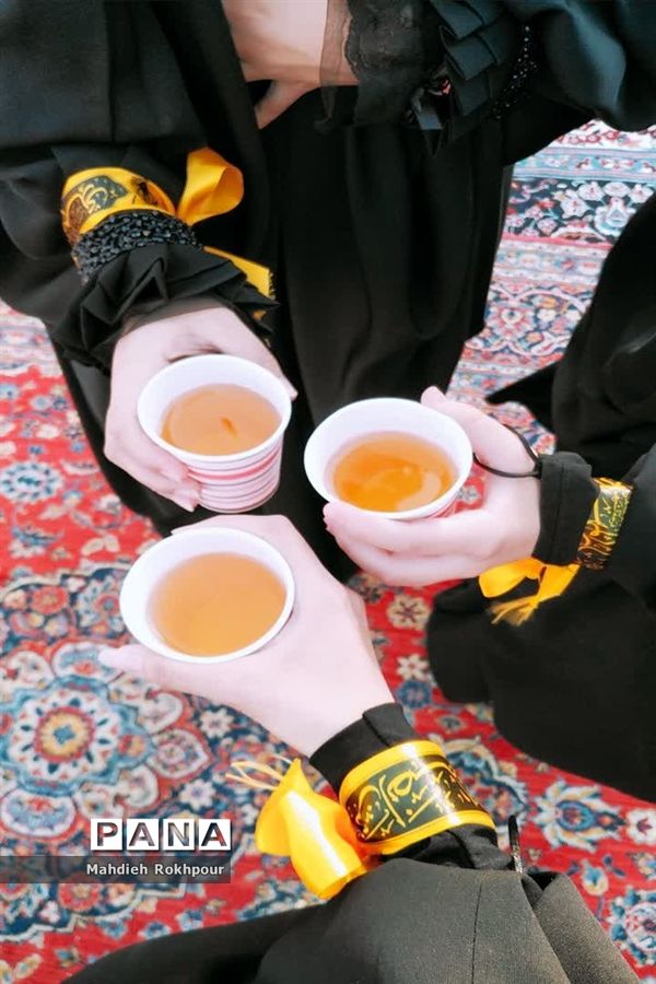 برگزاری هیأت زینبیون در بیرجند