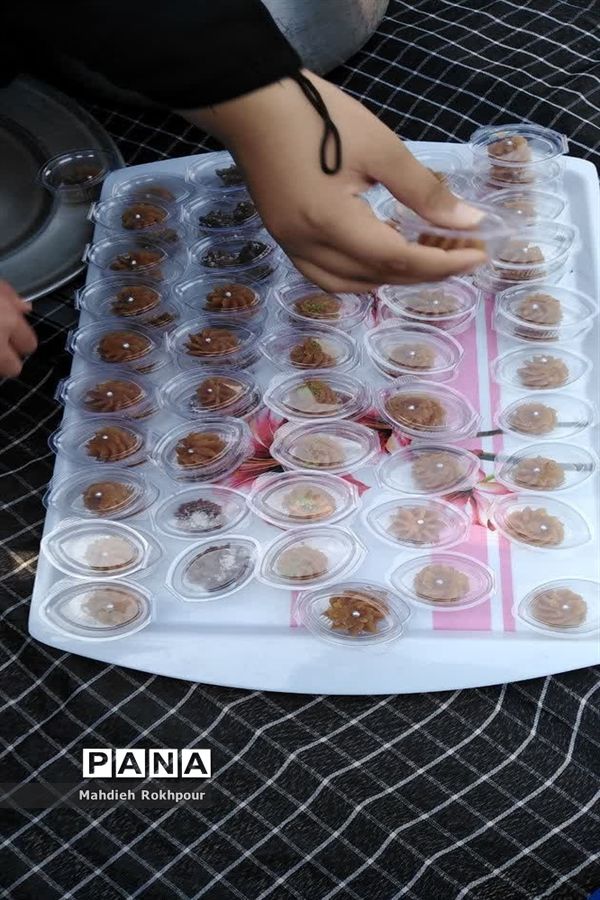 برگزاری هیأت زینبیون در بیرجند