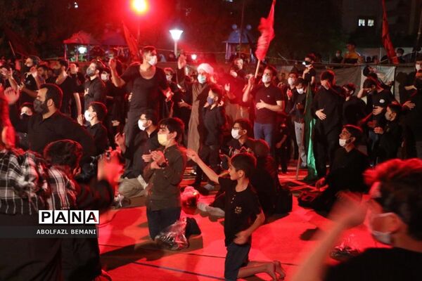 عزاداری شب تاسوعا در بوستان کودک قم