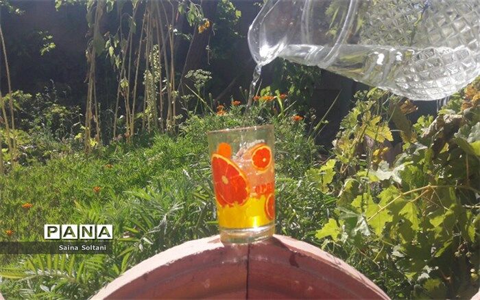چرا نباید همراه غذا آب خورد