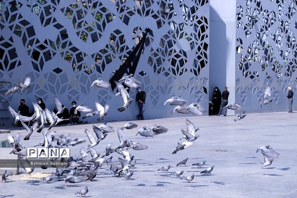 عزاداری و اقامه نماز ظهر عاشورا در میدان امام حسین (ع)