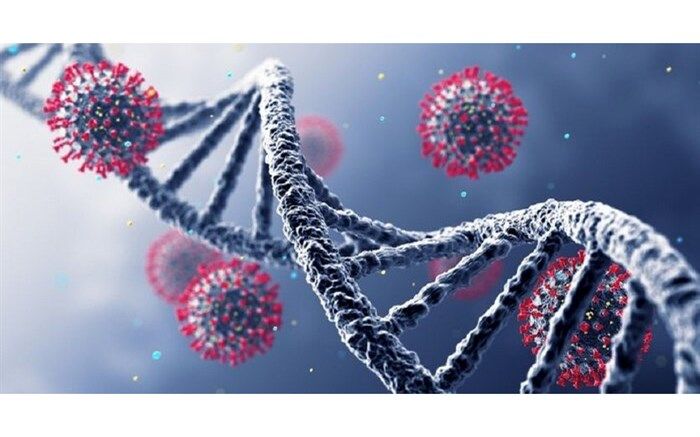 ظرفیت تخت های بیمارستانی تکمیل شده‌است